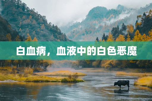 白血病，血液中的白色恶魔
