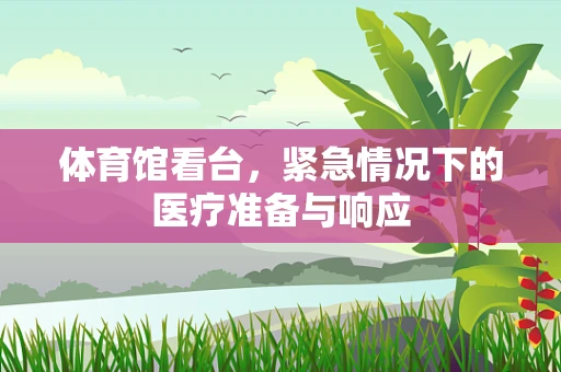 体育馆看台，紧急情况下的医疗准备与响应