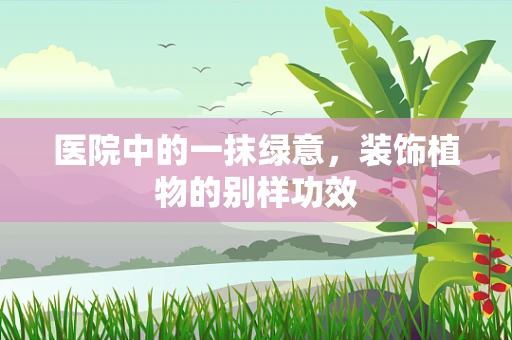 医院中的一抹绿意，装饰植物的别样功效