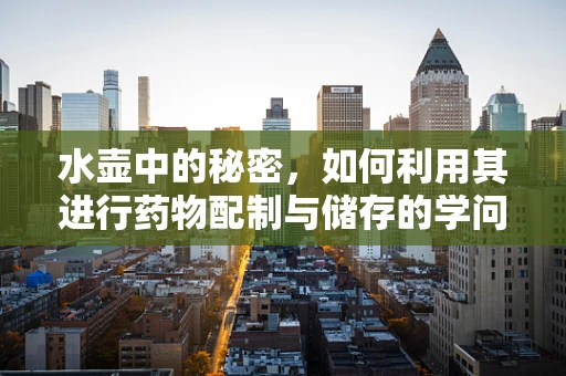 水壶中的秘密，如何利用其进行药物配制与储存的学问？