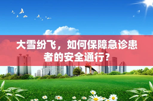 大雪纷飞，如何保障急诊患者的安全通行？