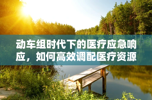动车组时代下的医疗应急响应，如何高效调配医疗资源？