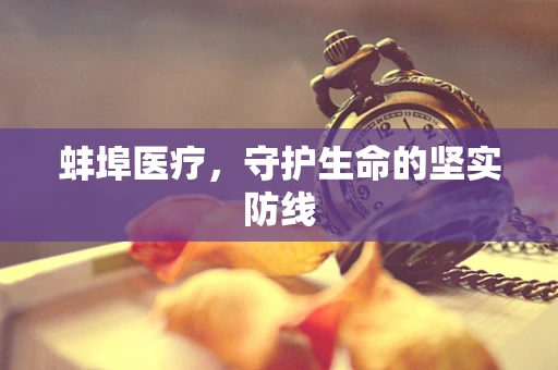 蚌埠医疗，守护生命的坚实防线