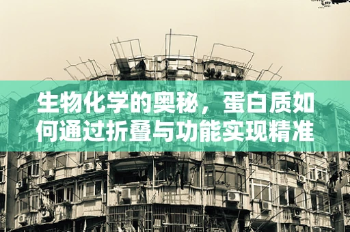 生物化学的奥秘，蛋白质如何通过折叠与功能实现精准匹配？