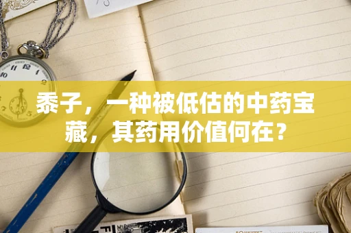 黍子，一种被低估的中药宝藏，其药用价值何在？