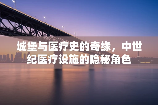 城堡与医疗史的奇缘，中世纪医疗设施的隐秘角色