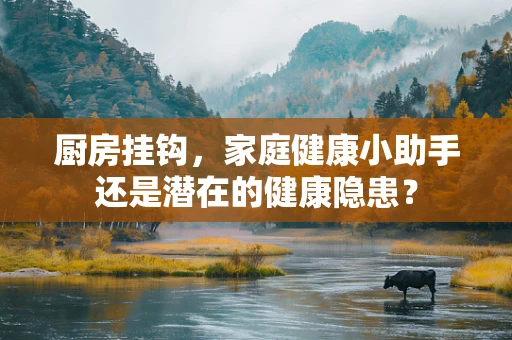 厨房挂钩，家庭健康小助手还是潜在的健康隐患？