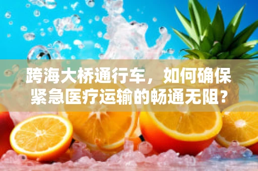 跨海大桥通行车，如何确保紧急医疗运输的畅通无阻？