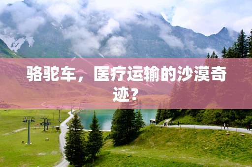 骆驼车，医疗运输的沙漠奇迹？