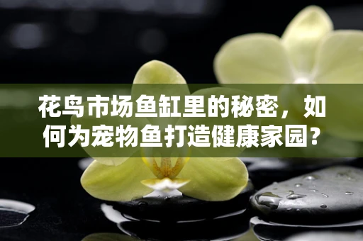 花鸟市场鱼缸里的秘密，如何为宠物鱼打造健康家园？