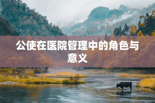 公使在医院管理中的角色与意义