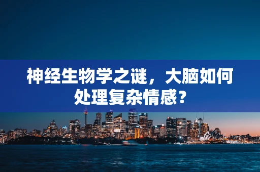 神经生物学之谜，大脑如何处理复杂情感？