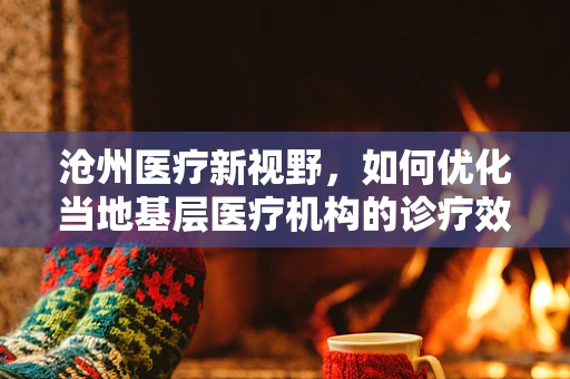 沧州医疗新视野，如何优化当地基层医疗机构的诊疗效率？