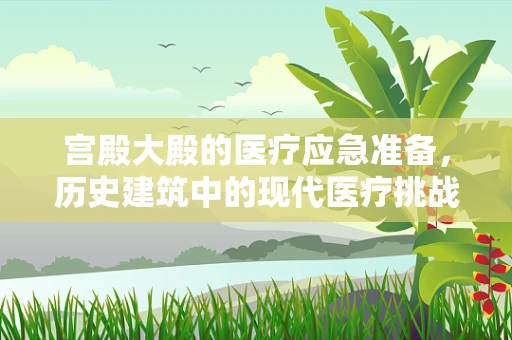 宫殿大殿的医疗应急准备，历史建筑中的现代医疗挑战
