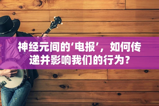 神经元间的‘电报’，如何传递并影响我们的行为？