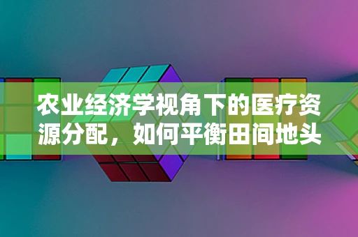 农业经济学视角下的医疗资源分配，如何平衡田间地头与病床之间？