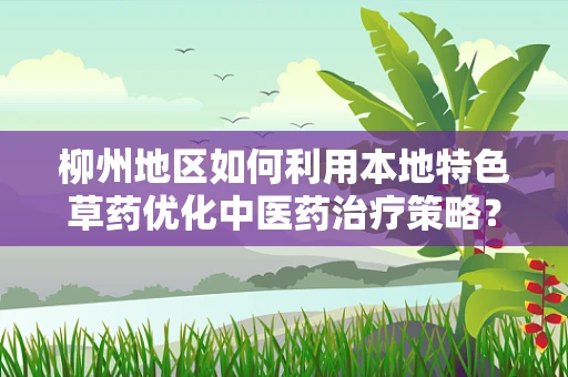 柳州地区如何利用本地特色草药优化中医药治疗策略？