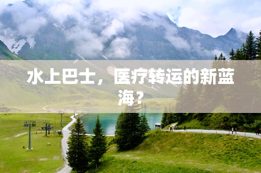 水上巴士，医疗转运的新蓝海？