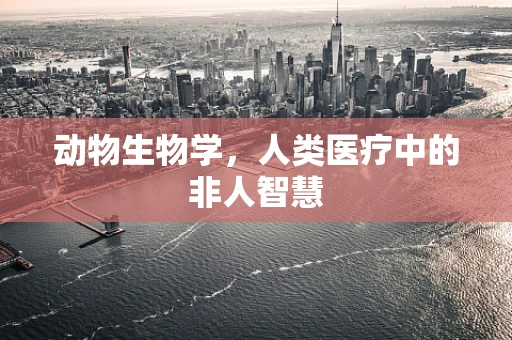 动物生物学，人类医疗中的非人智慧
