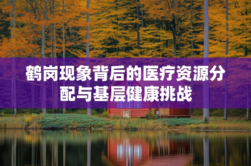 鹤岗现象背后的医疗资源分配与基层健康挑战