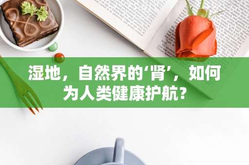 湿地，自然界的‘肾’，如何为人类健康护航？