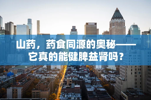 山药，药食同源的奥秘——它真的能健脾益肾吗？