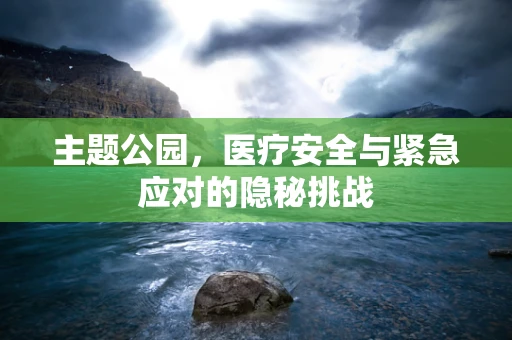 主题公园，医疗安全与紧急应对的隐秘挑战