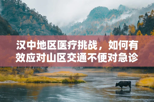 汉中地区医疗挑战，如何有效应对山区交通不便对急诊救治的影响？