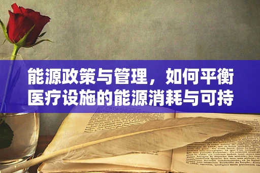 能源政策与管理，如何平衡医疗设施的能源消耗与可持续发展？