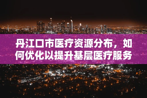 丹江口市医疗资源分布，如何优化以提升基层医疗服务？