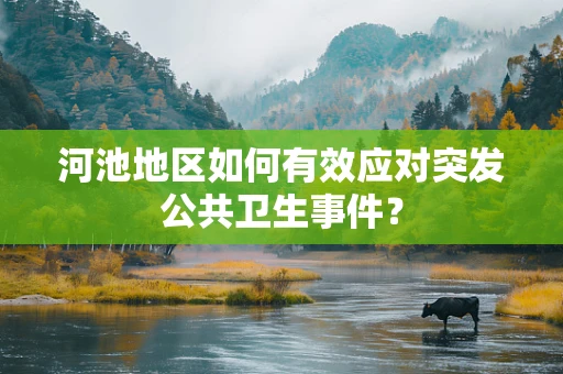 河池地区如何有效应对突发公共卫生事件？
