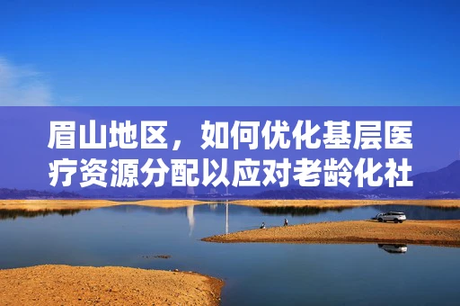眉山地区，如何优化基层医疗资源分配以应对老龄化社会的健康挑战？