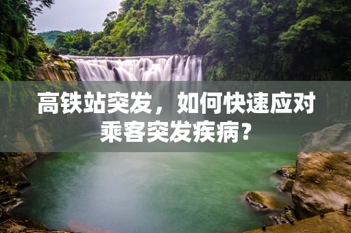 高铁站突发，如何快速应对乘客突发疾病？