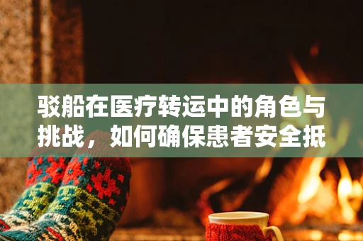 驳船在医疗转运中的角色与挑战，如何确保患者安全抵达？