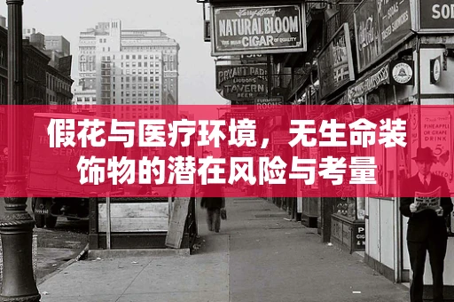 假花与医疗环境，无生命装饰物的潜在风险与考量