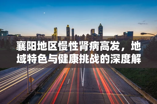 襄阳地区慢性肾病高发，地域特色与健康挑战的深度解析