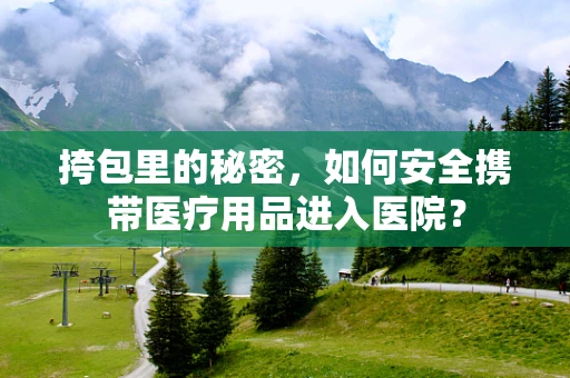 挎包里的秘密，如何安全携带医疗用品进入医院？