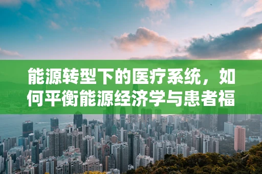 能源转型下的医疗系统，如何平衡能源经济学与患者福祉？