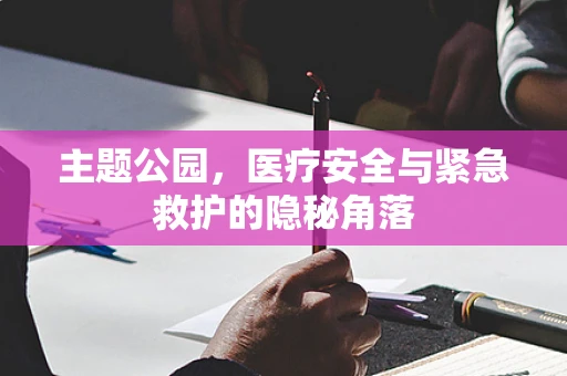 主题公园，医疗安全与紧急救护的隐秘角落