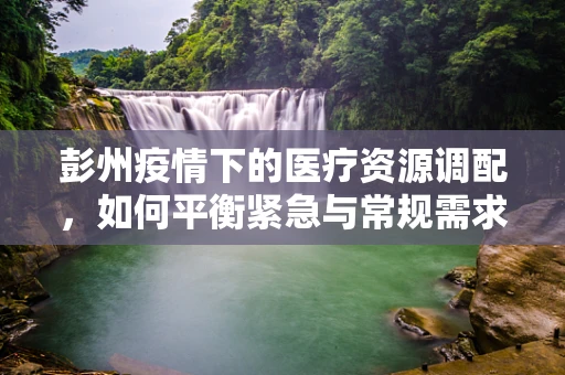 彭州疫情下的医疗资源调配，如何平衡紧急与常规需求？