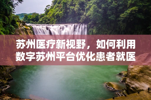 苏州医疗新视野，如何利用数字苏州平台优化患者就医体验？