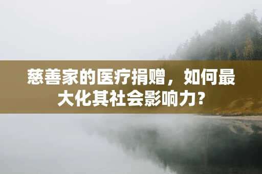 慈善家的医疗捐赠，如何最大化其社会影响力？