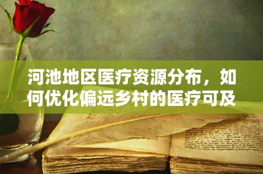 河池地区医疗资源分布，如何优化偏远乡村的医疗可及性？