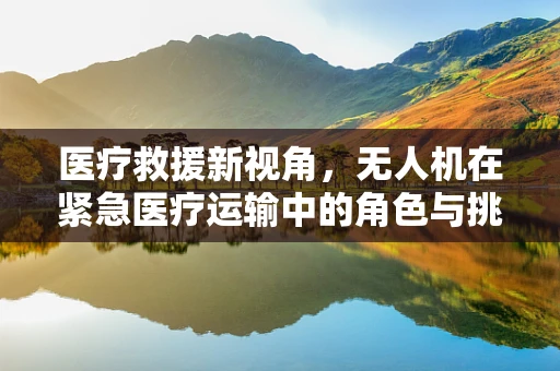 医疗救援新视角，无人机在紧急医疗运输中的角色与挑战
