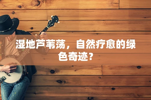 湿地芦苇荡，自然疗愈的绿色奇迹？