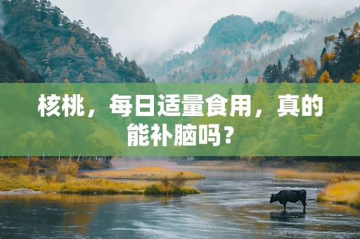 核桃，每日适量食用，真的能补脑吗？