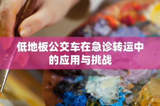 低地板公交车在急诊转运中的应用与挑战