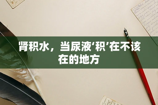 肾积水，当尿液‘积’在不该在的地方