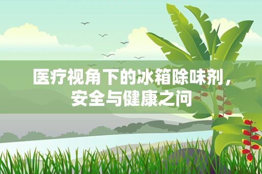 医疗视角下的冰箱除味剂，安全与健康之问