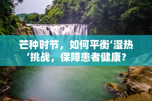 芒种时节，如何平衡‘湿热’挑战，保障患者健康？